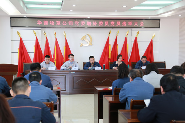 5、黨員大會(huì)_副本.jpg